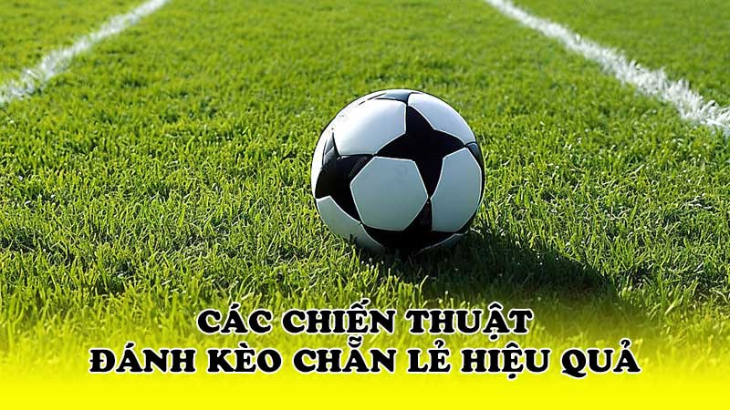 Các chiến thuật đánh kèo chẵn lẻ hiệu quả