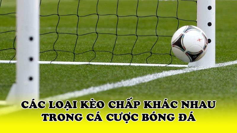 Các loại kèo chấp khác nhau trong cá cược bóng đá