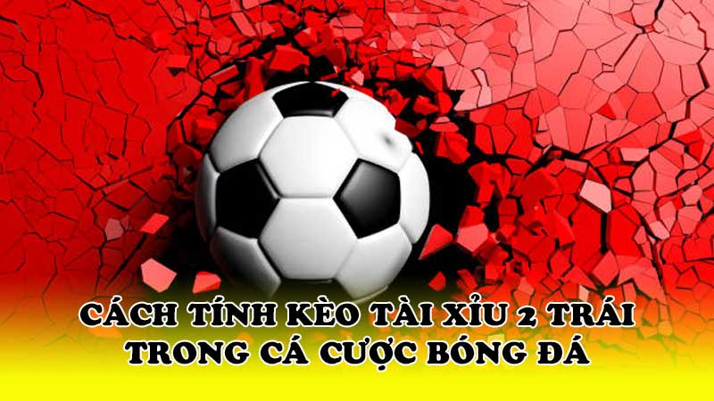 Cách tính kèo tài xỉu 2 trái trong cá cược bóng đá
