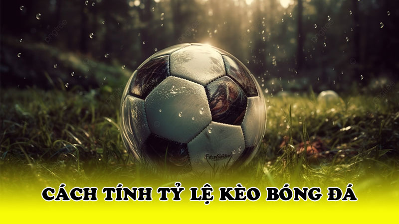 Cách tính tỷ lệ kèo bóng đá