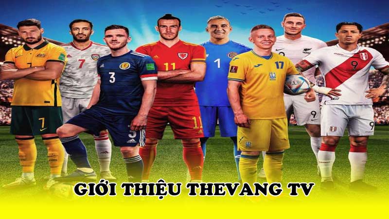 Giới thiệu ThevangTV
