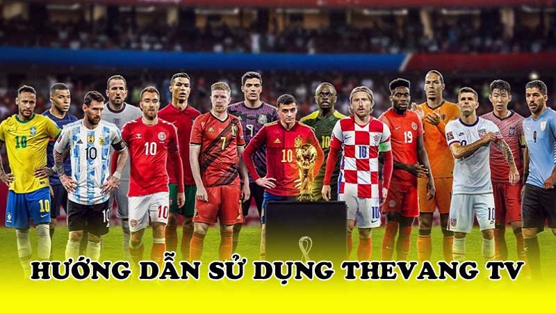 Hướng dẫn sử dụng Thevang TV