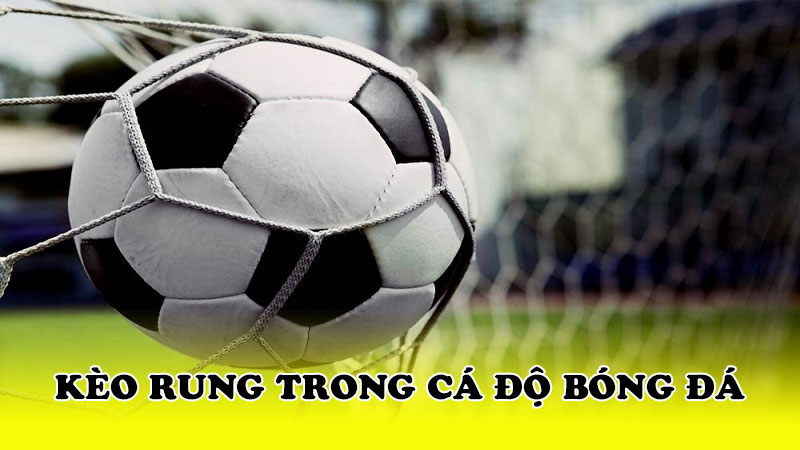 Kèo rung trong cá độ bóng đá