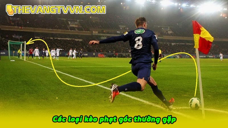 Các loại kèo phạt góc thường gặp