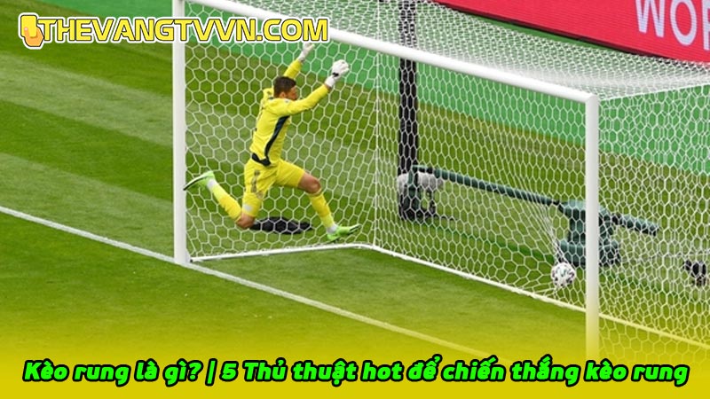 Kèo rung là gì? | 5 Thủ thuật hot để chiến thắng kèo rung