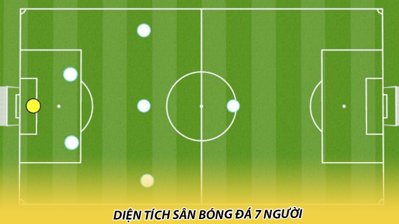 Diện tích sân bóng đá 7 người