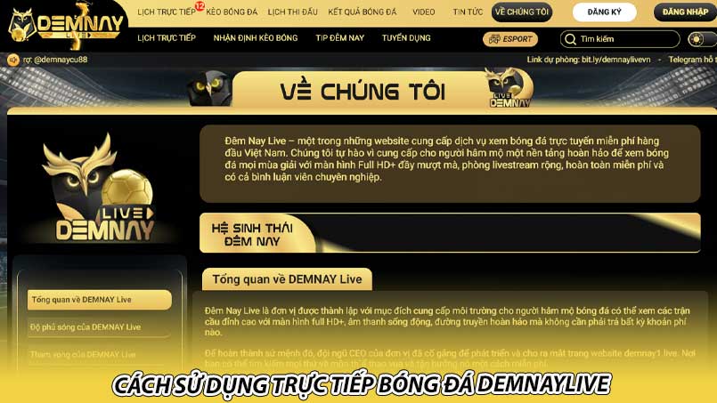 Cách sử dụng trực tiếp bóng đá Demnaylive