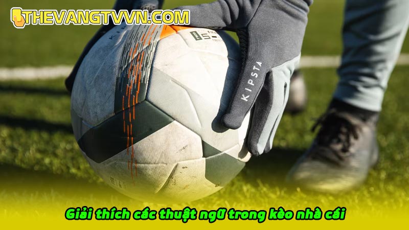 Giải thích các thuật ngữ trong kèo nhà cái