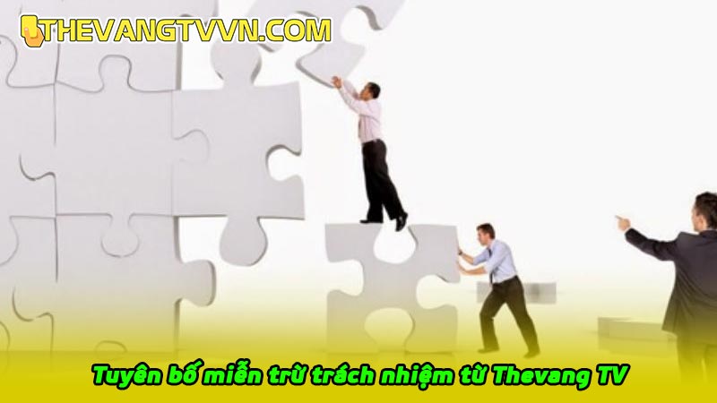 Tuyên bố miễn trừ trách nhiệm từ Thevang TV