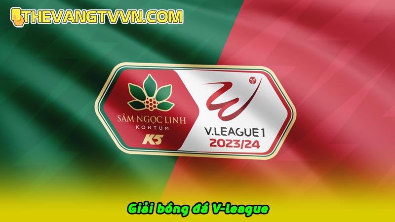 Giải bóng đá V-League