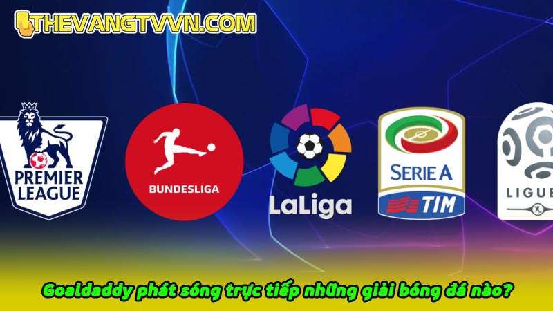 Goaldaddy phát sóng trực tiếp những giải bóng đá nào?
